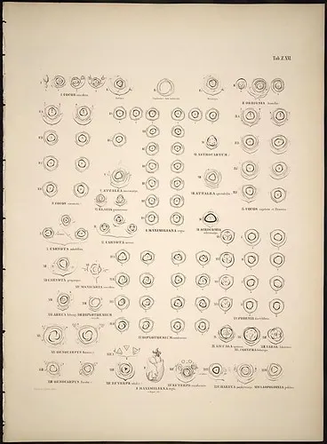 Calendario con un recordatorio de pausa